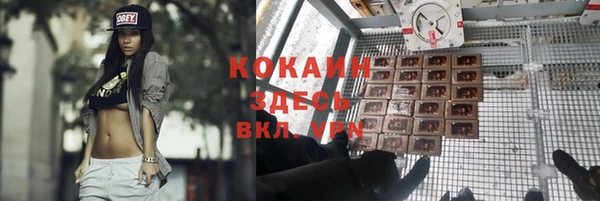 дмт Вязьма