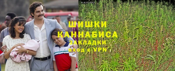 метадон Горнозаводск