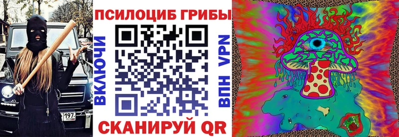 сколько стоит  Дно  Галлюциногенные грибы Psilocybe 